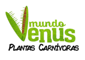 cropped mundo venus logo 1